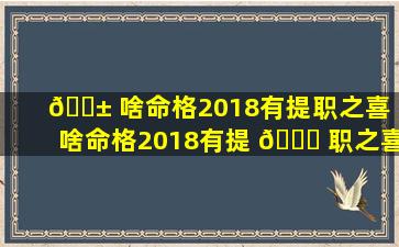 🐱 啥命格2018有提职之喜（啥命格2018有提 🐈 职之喜呢）